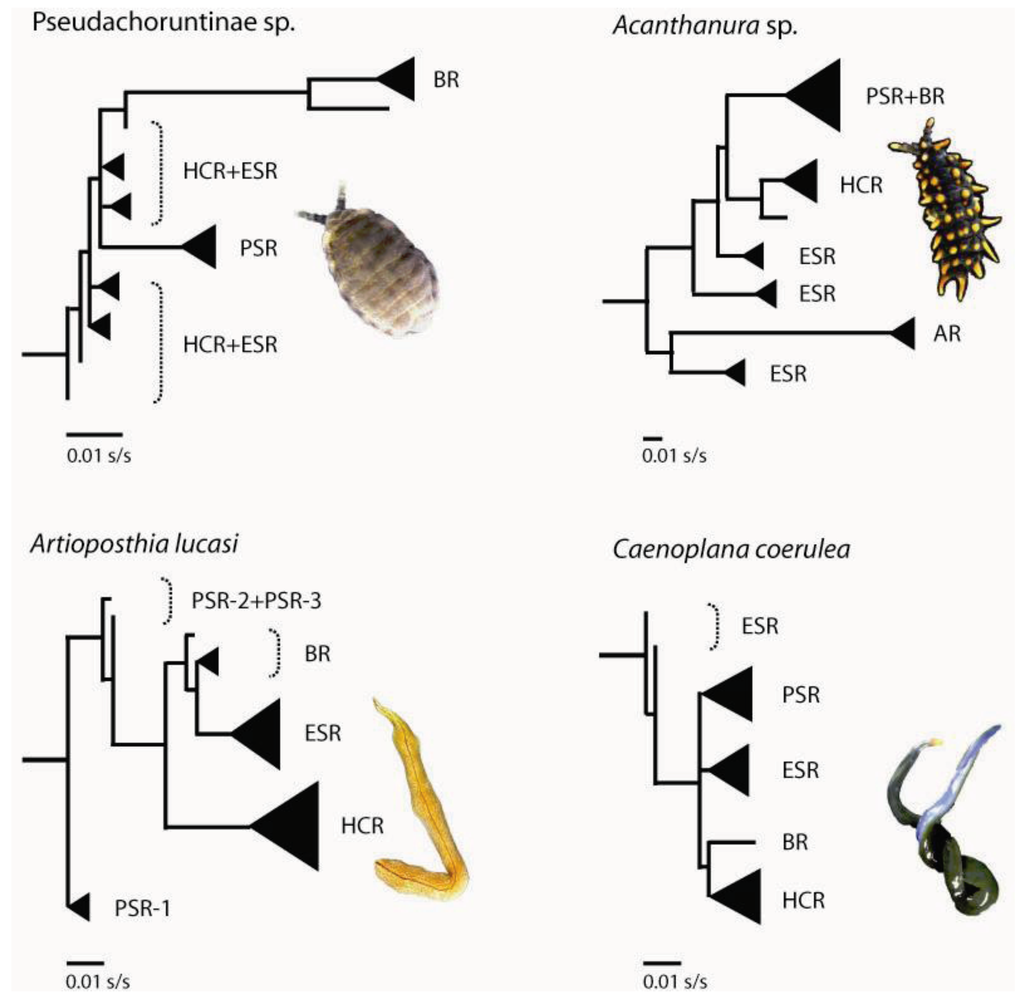 Insects 03 00270 g004 1024