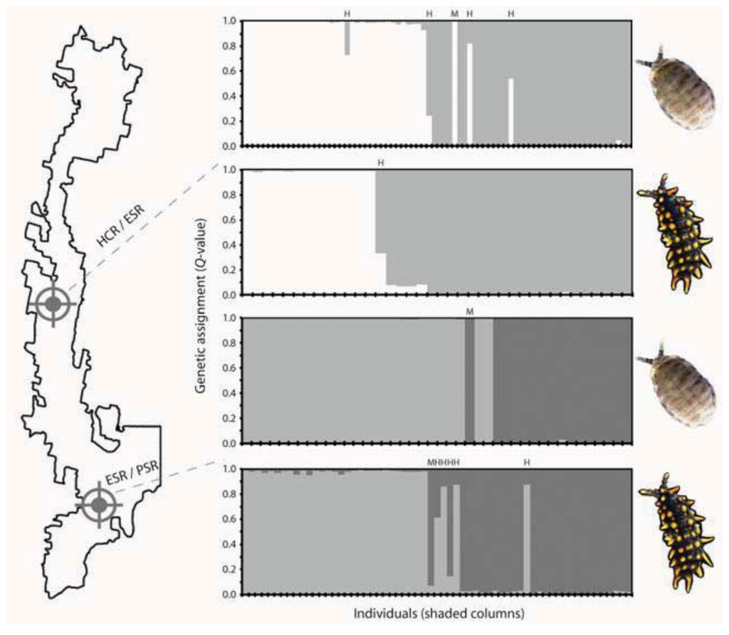Insects 03 00270 g006 1024