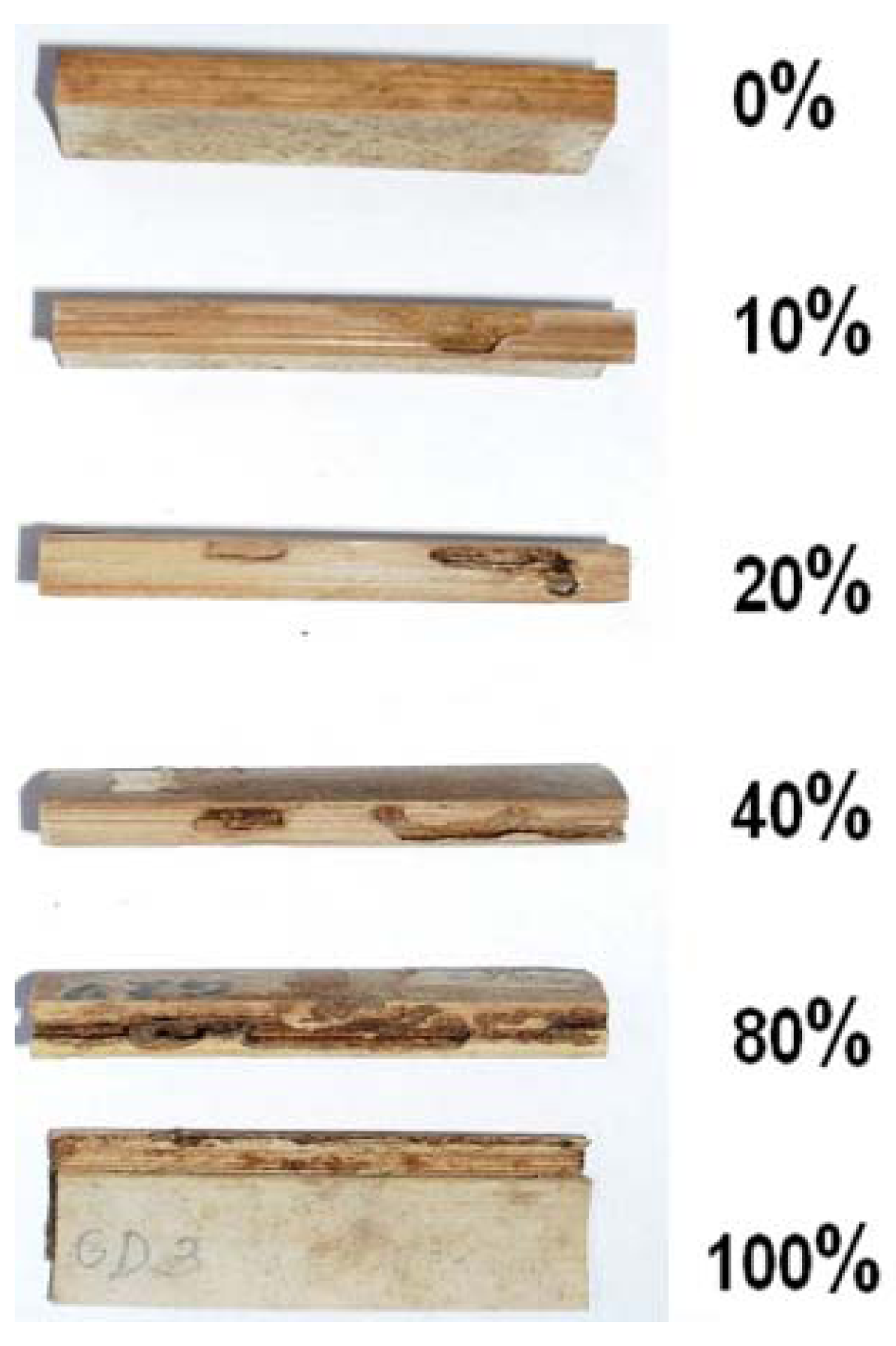 Insects 03 00390 g002