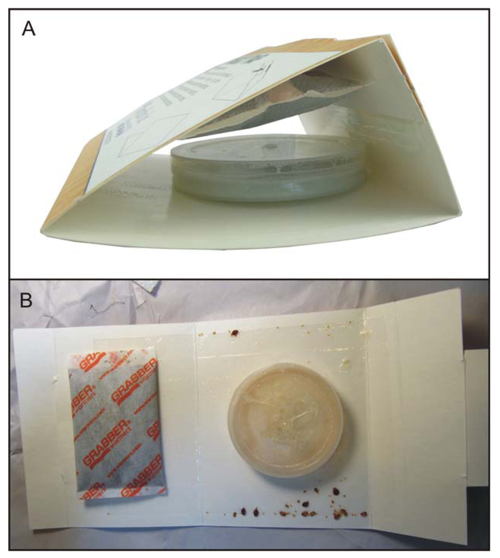 Insects 03 00442 g001 1024