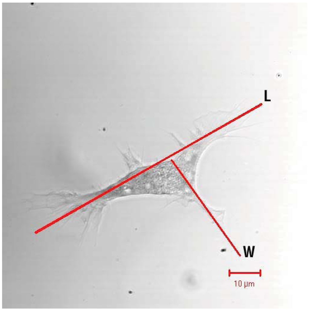 Insects 03 00492 g004 1024