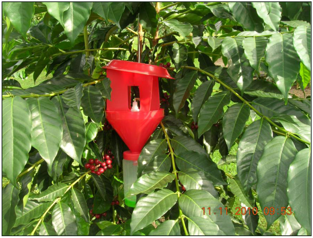 Insects 03 00640 g001 1024