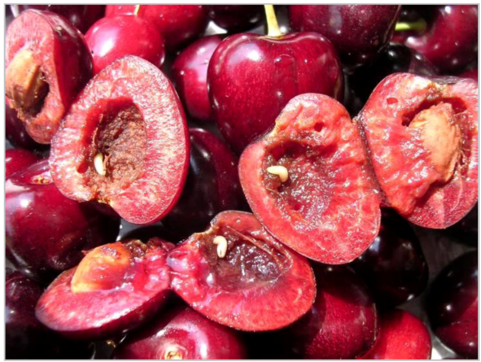 Insects 03 00956 g003