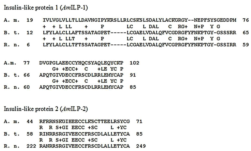 Insects 03 01084 g003 1024