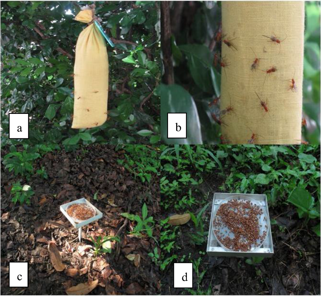 Insects 03 01105 g002 1024