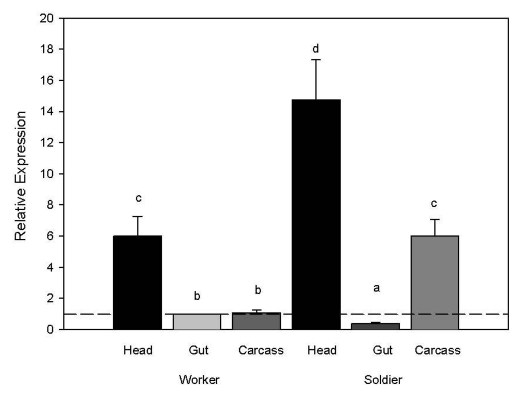 Insects 03 01190 g003 1024