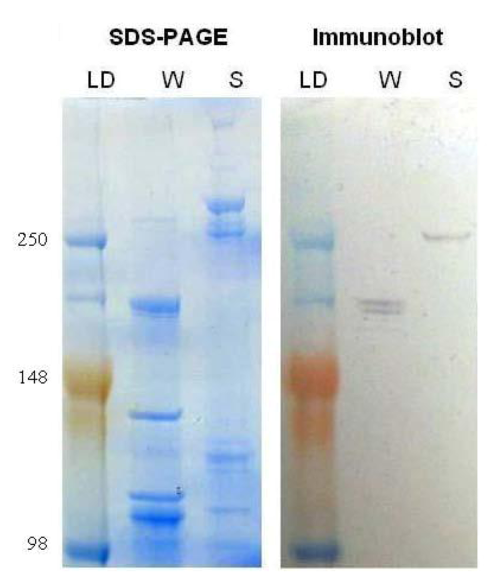 Insects 03 01190 g004 1024