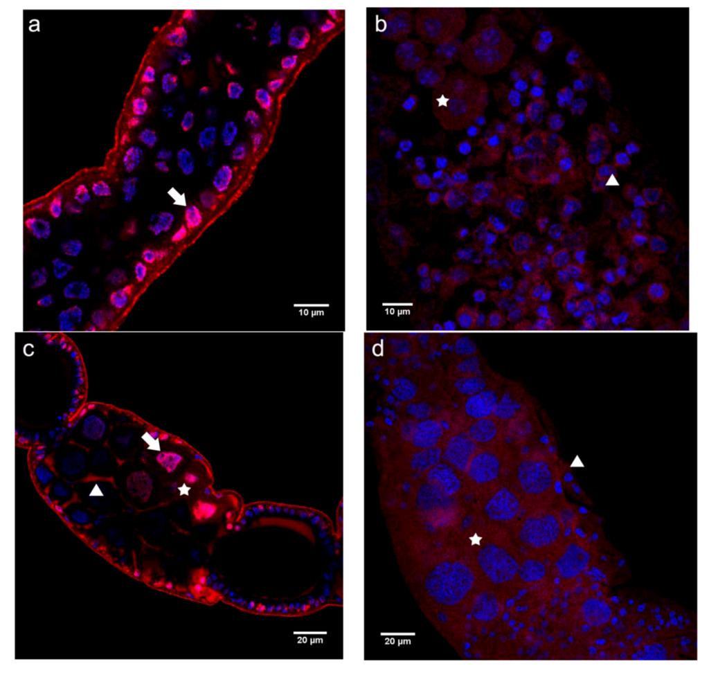 Insects 03 01200 g002 1024