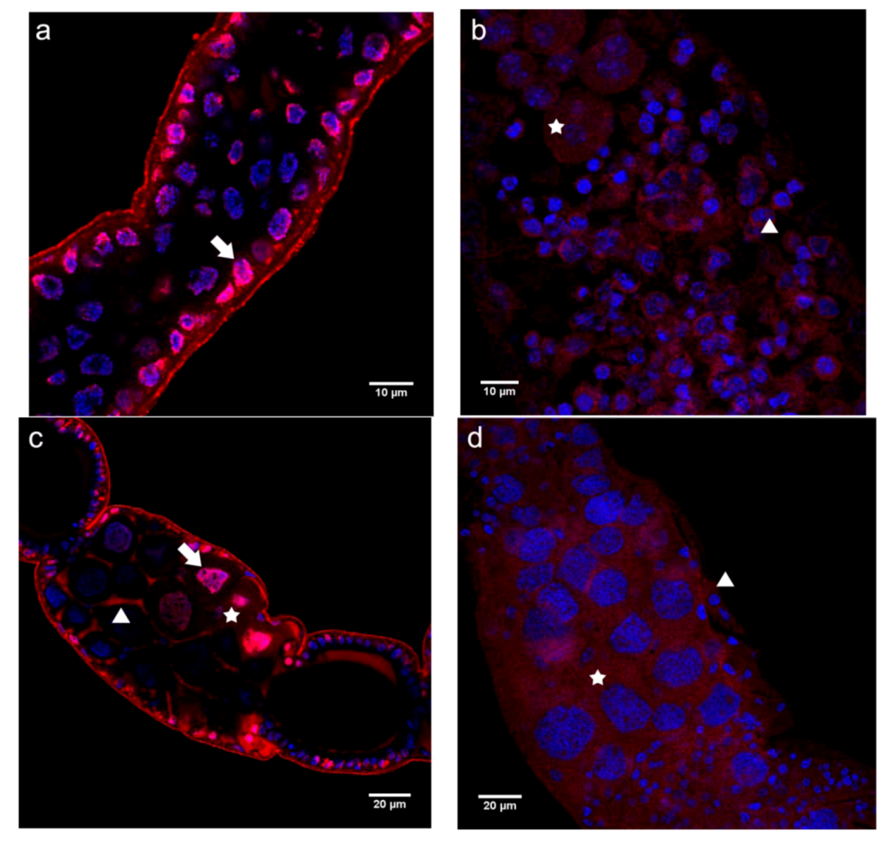 Insects 03 01200 g002