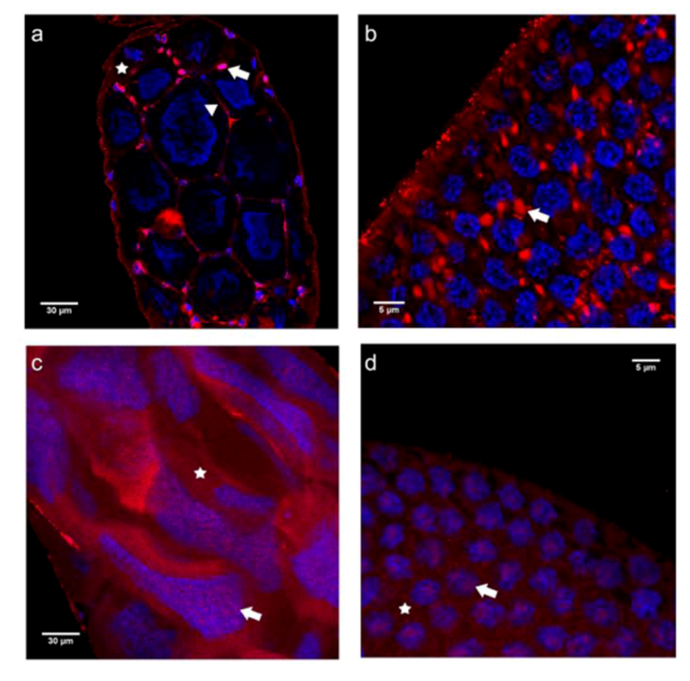 Insects 03 01200 g003