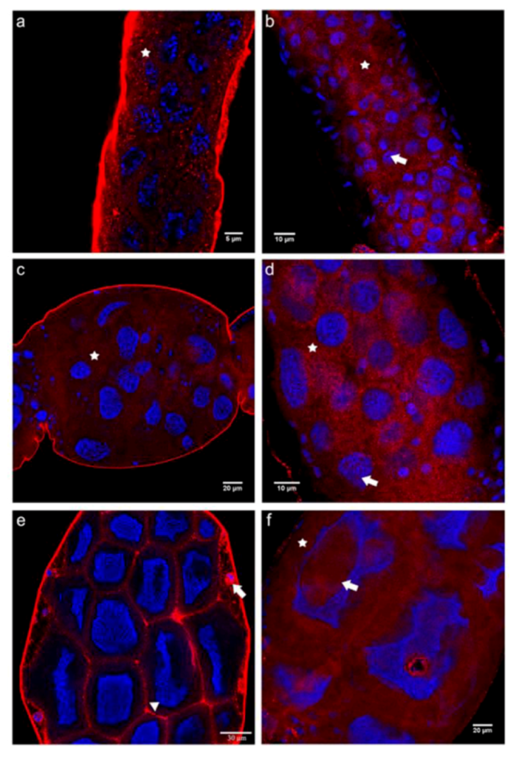 Insects 03 01200 g004 1024