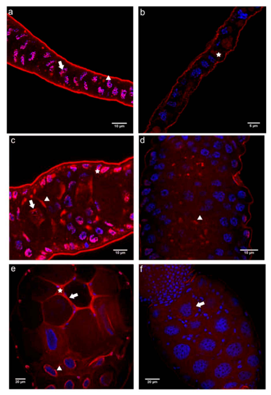 Insects 03 01200 g005 1024
