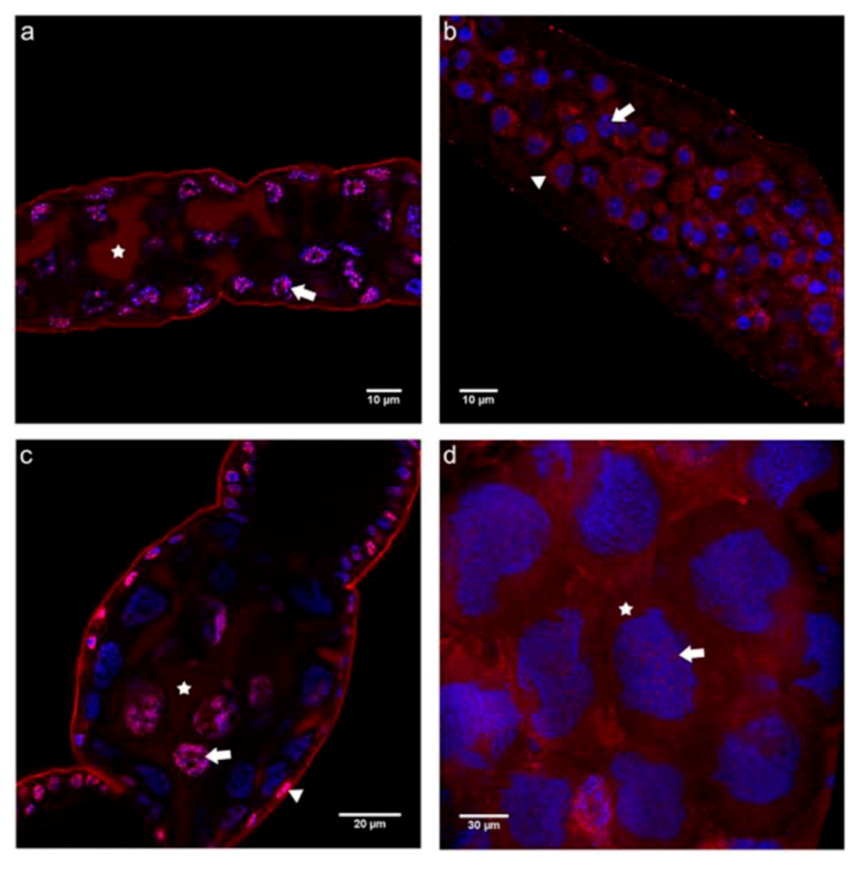 Insects 03 01200 g006