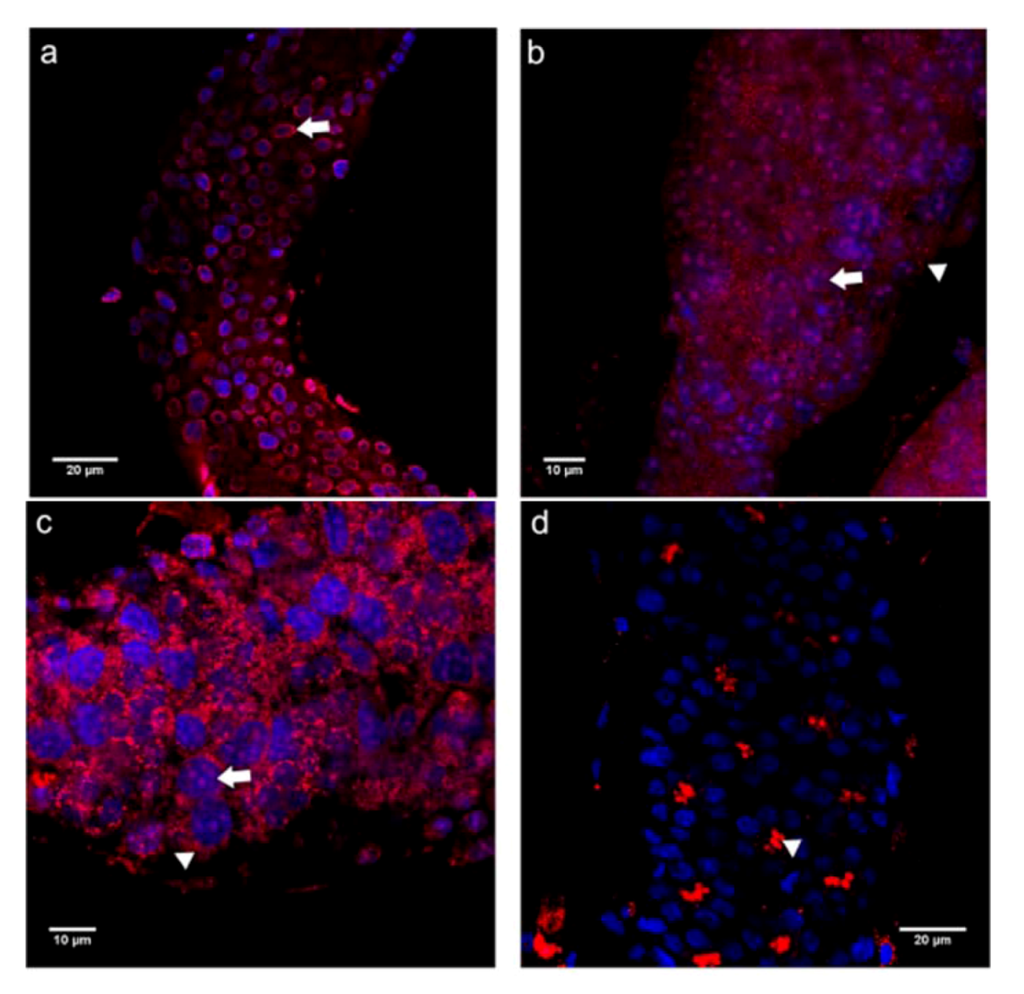Insects 03 01200 g007 1024