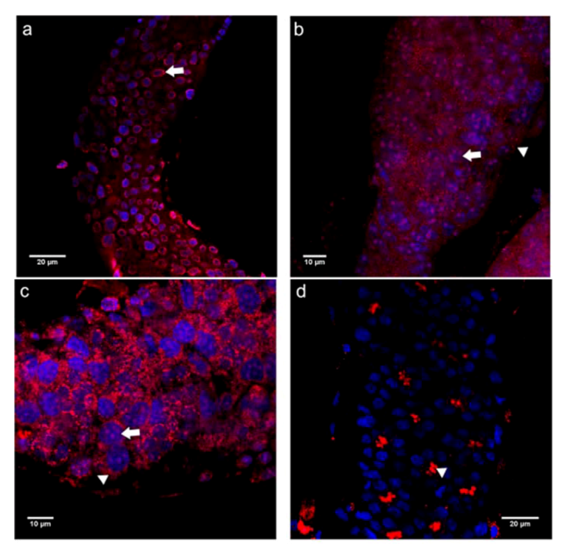 Insects 03 01200 g007