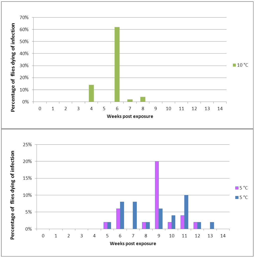 Insects 04 00392 g003 1024
