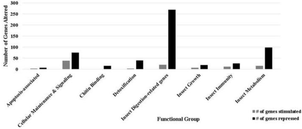 Insects 04 00506 g002 1024