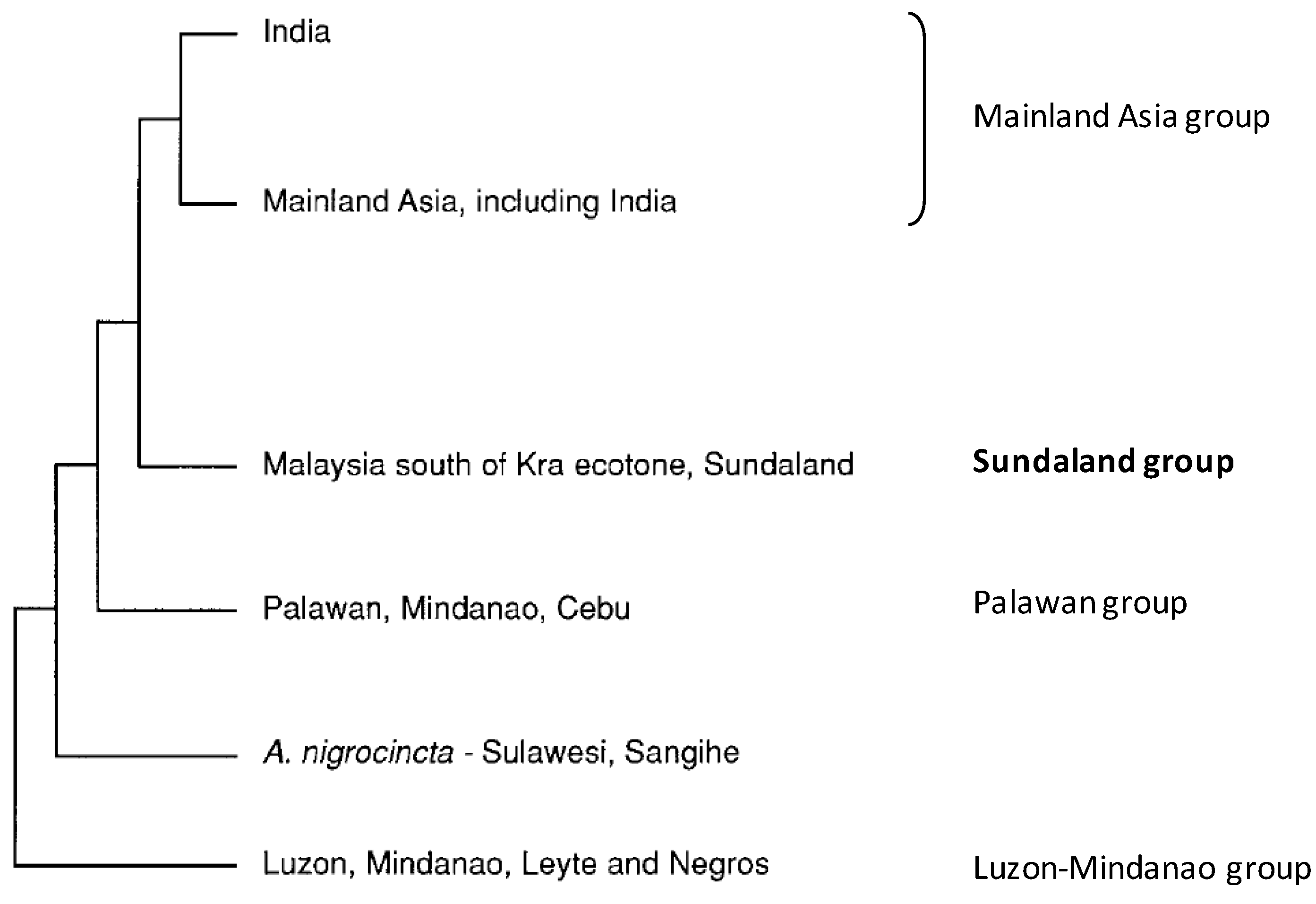 Insects 04 00558 g003