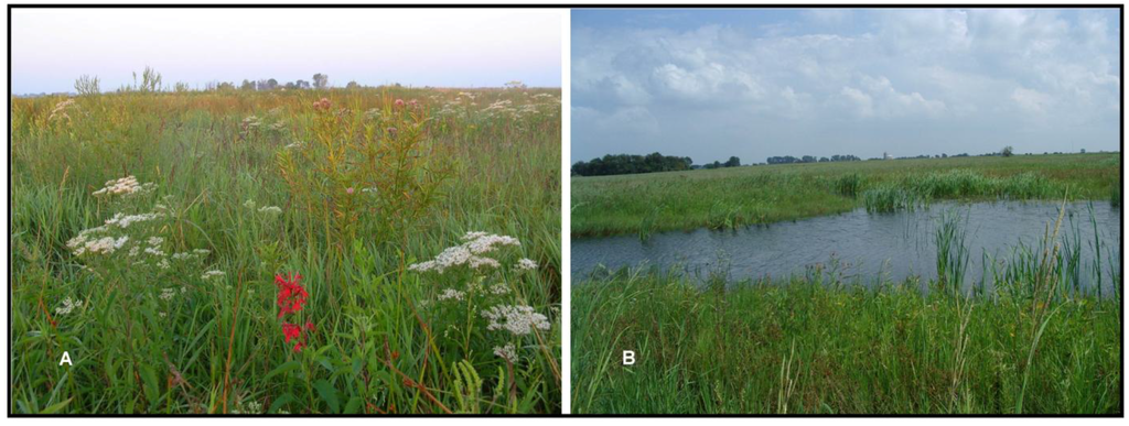 Insects 04 00761 g004 1024