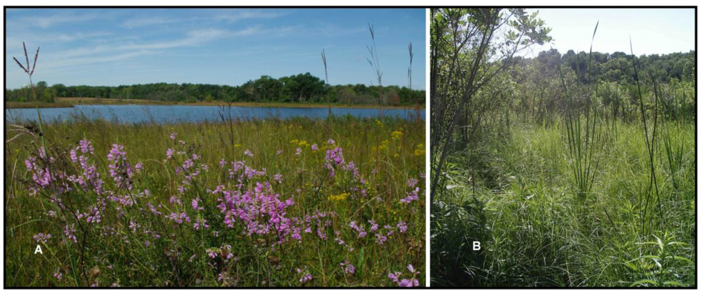 Insects 04 00761 g006 1024