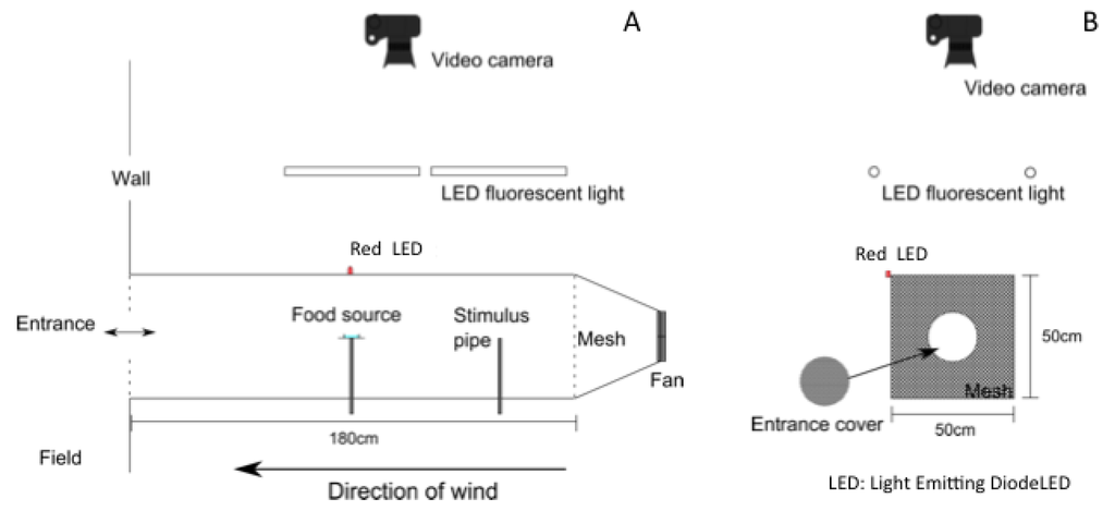 Insects 05 00092 g001 1024