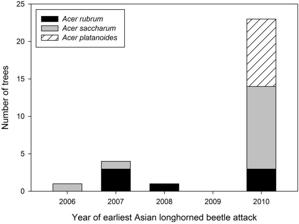 Insects 05 00105 g005 1024