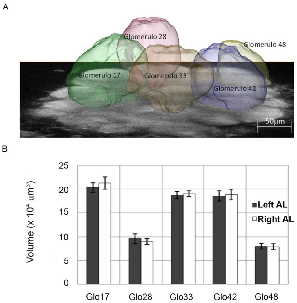 Insects 05 00120 g005 1024