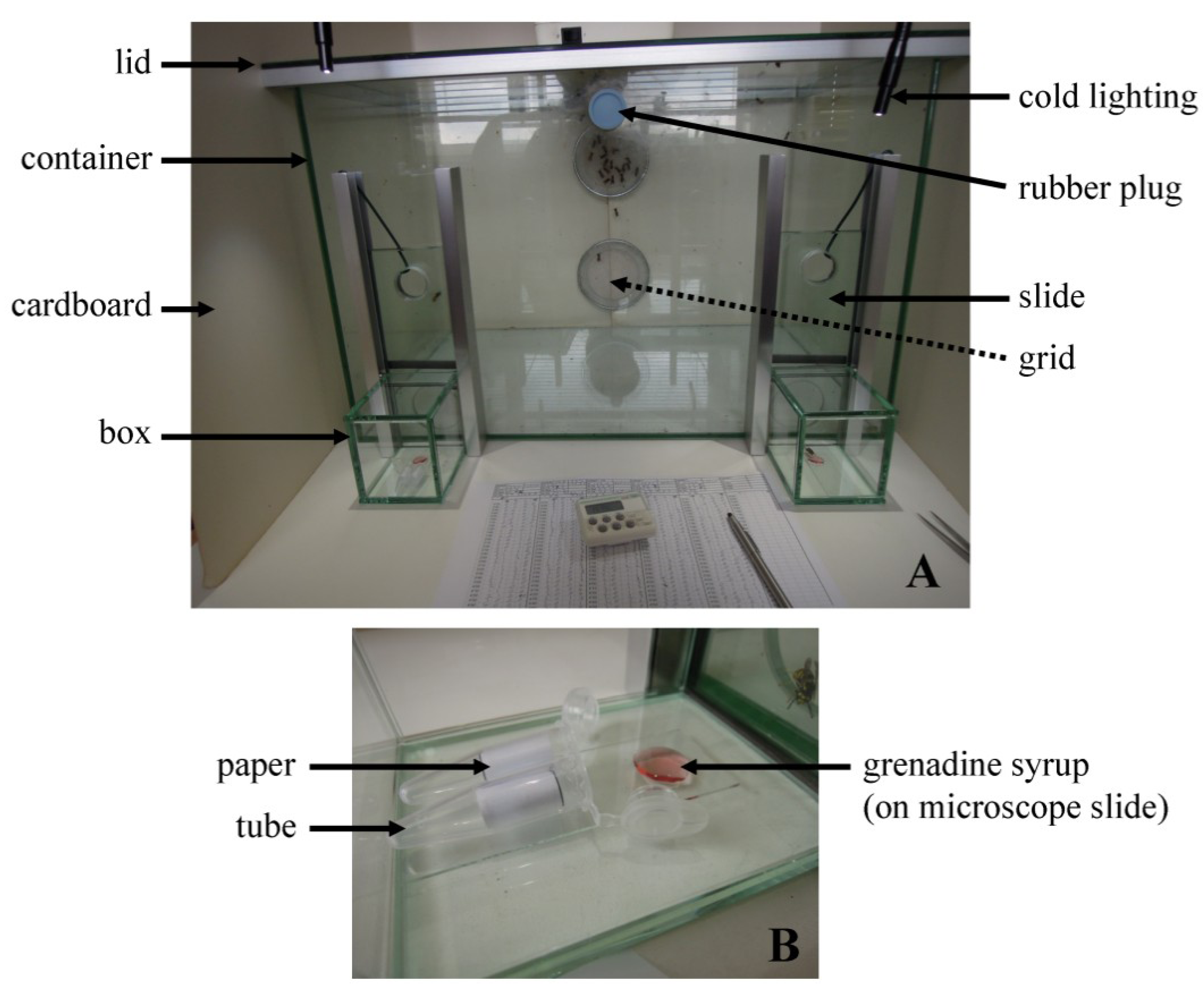 Insects 05 00272 g001