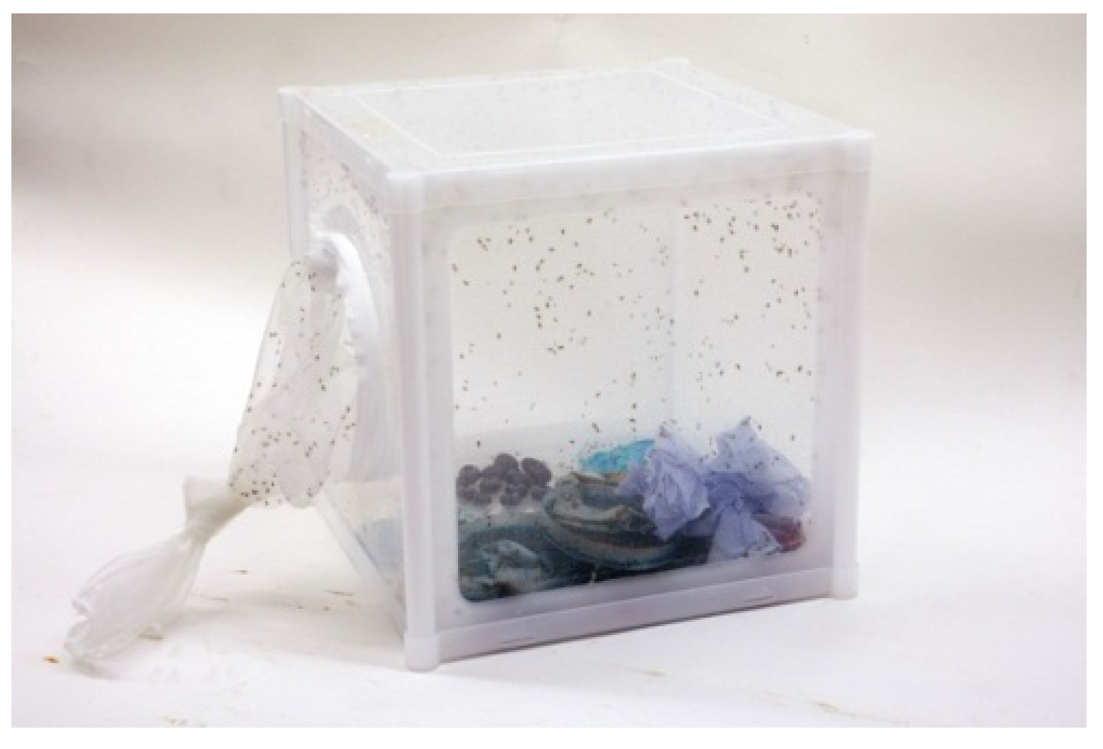 Insects 05 00488 g002