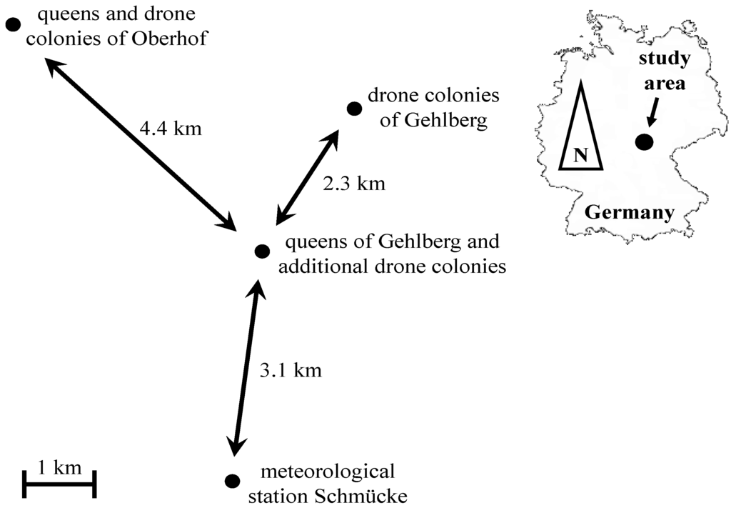 Insects 05 00513 g001 1024