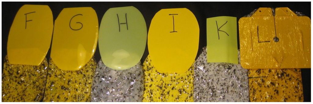 Insects 05 00564 g005 1024