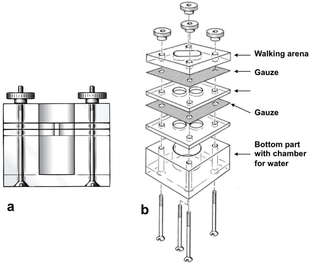 Insects 05 00639 g002 1024