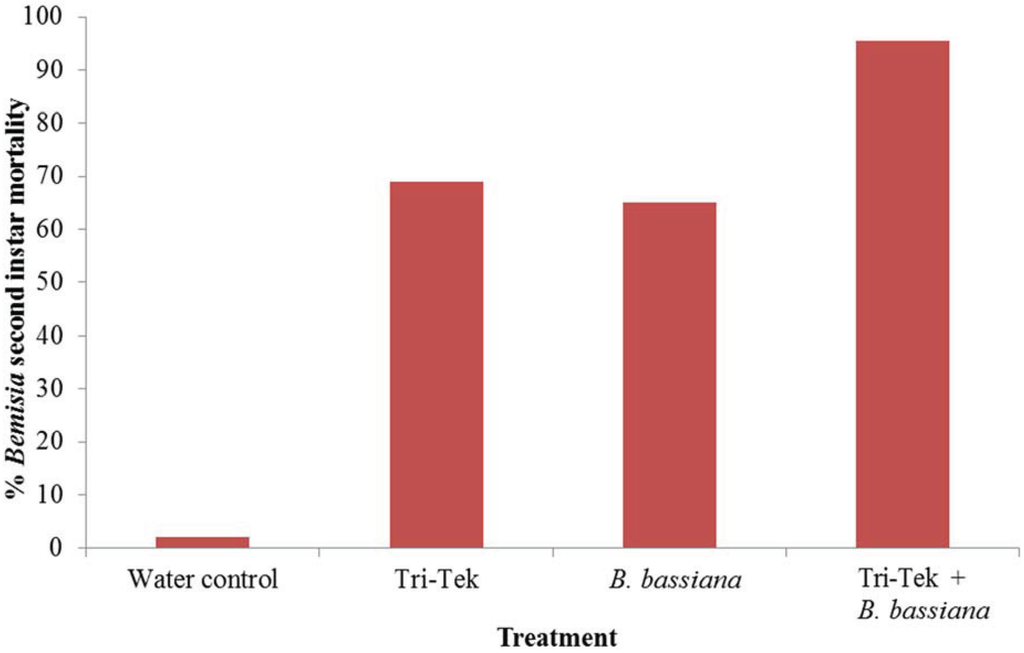 Insects 06 00133 g003 1024