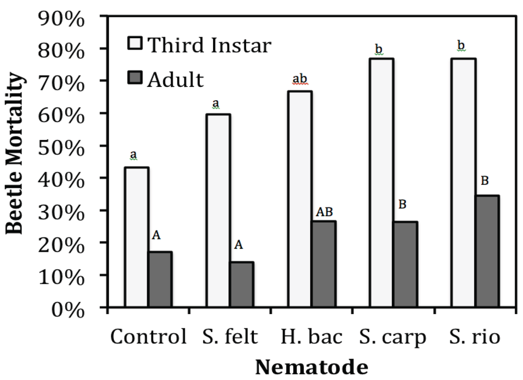 Insects 06 00224 g001 1024