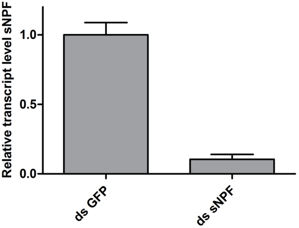 Insects 06 00409 g004 1024