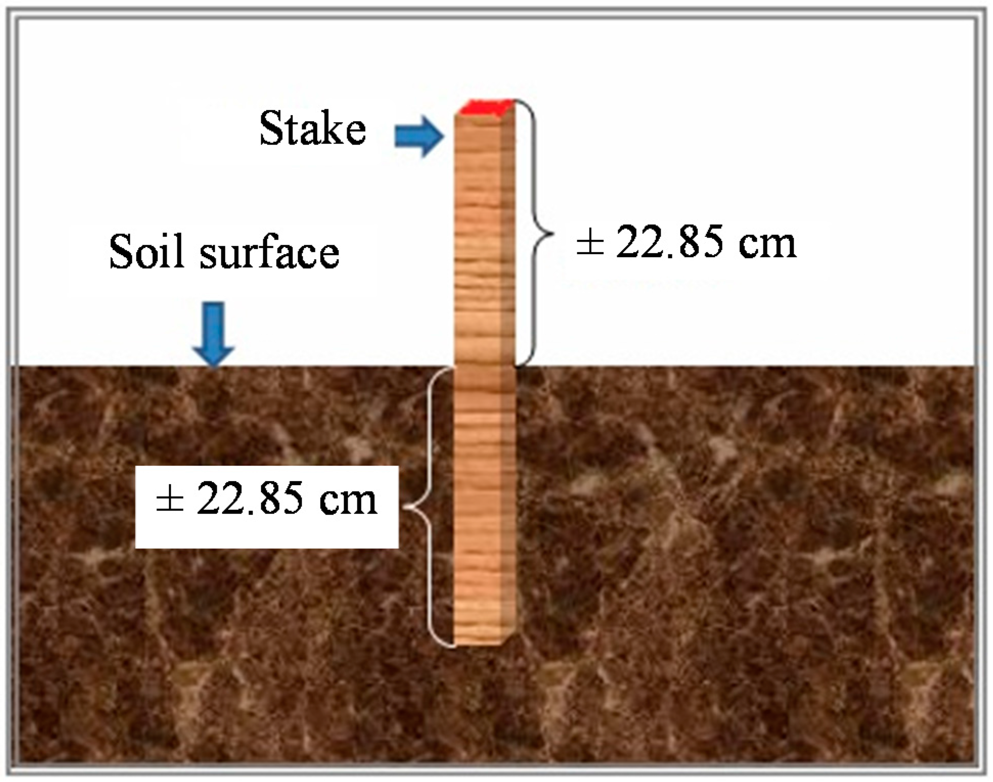 Insects 07 00020 g001