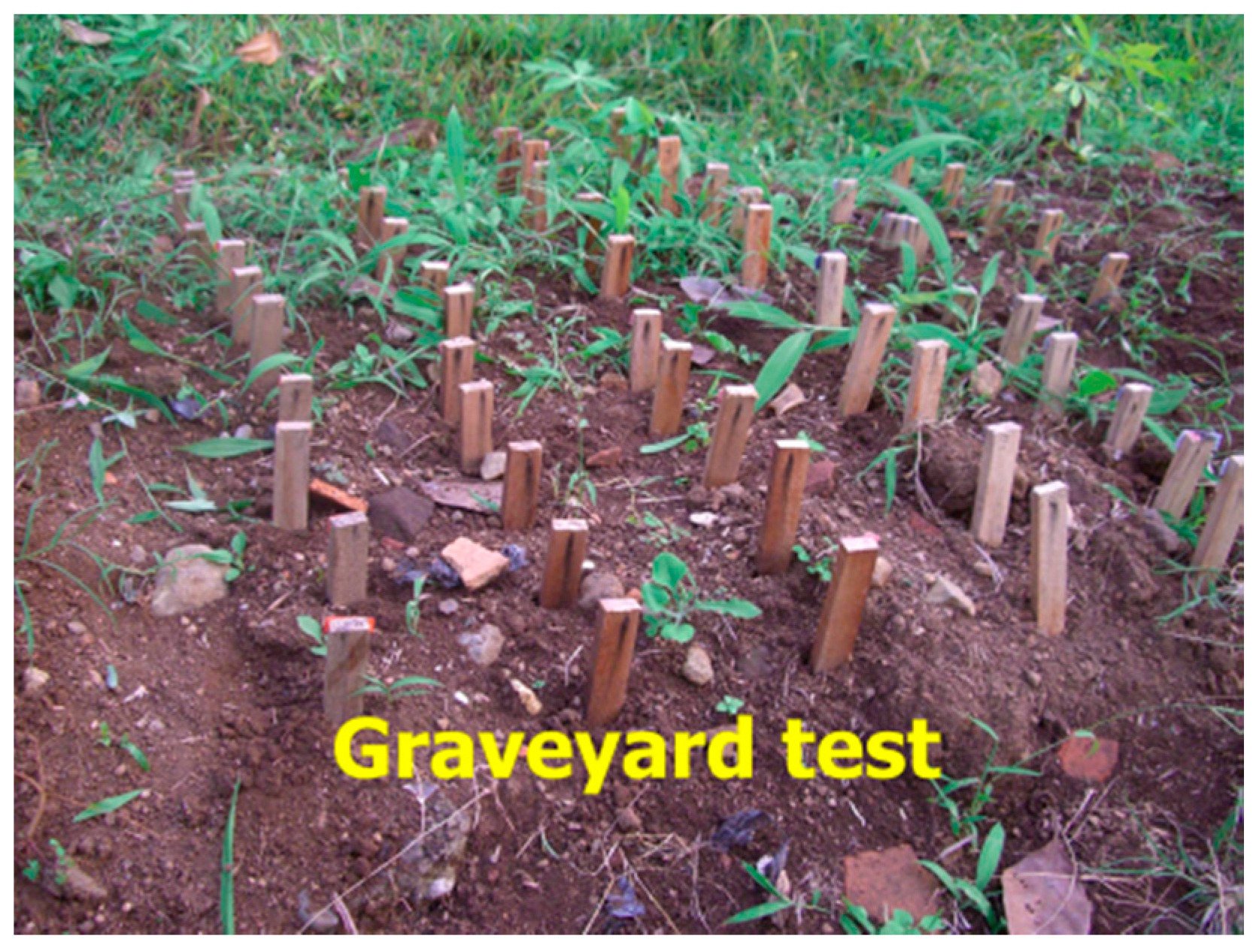 Insects 07 00037 g002