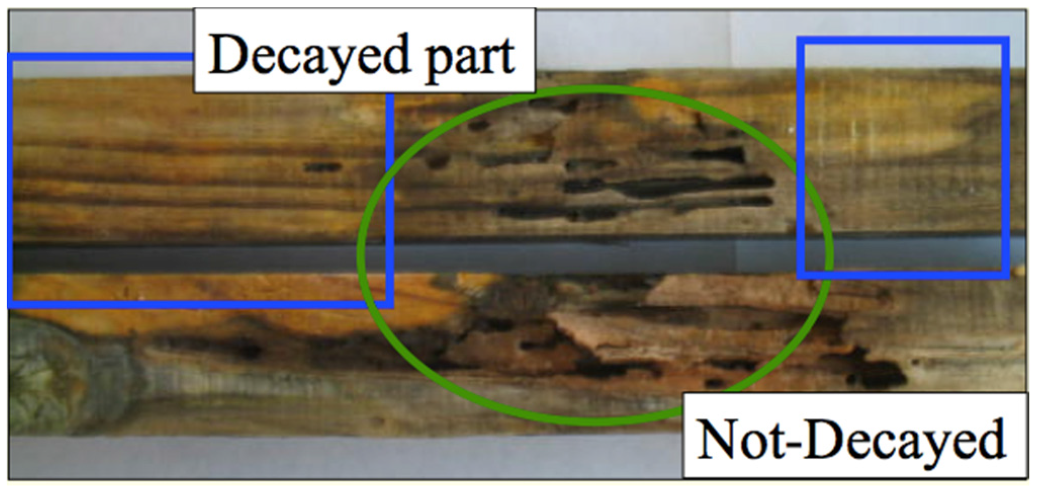 Insects 07 00041 g001