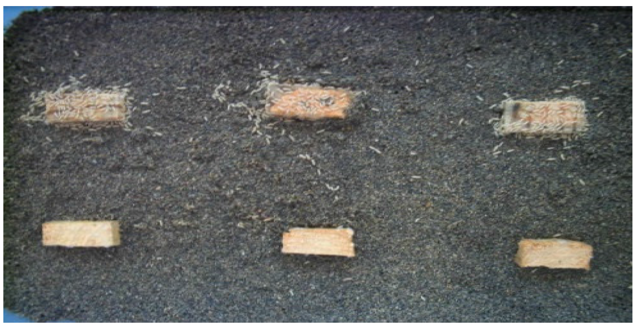 Insects 07 00041 g002