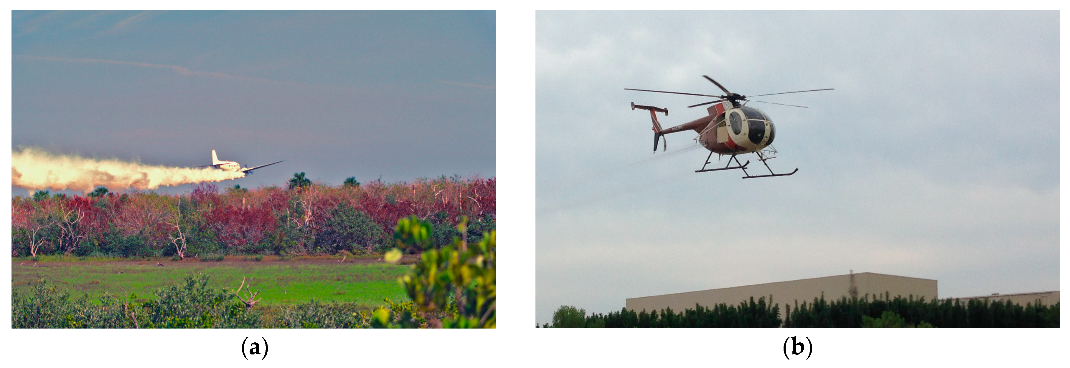 Insects 07 00050 g002