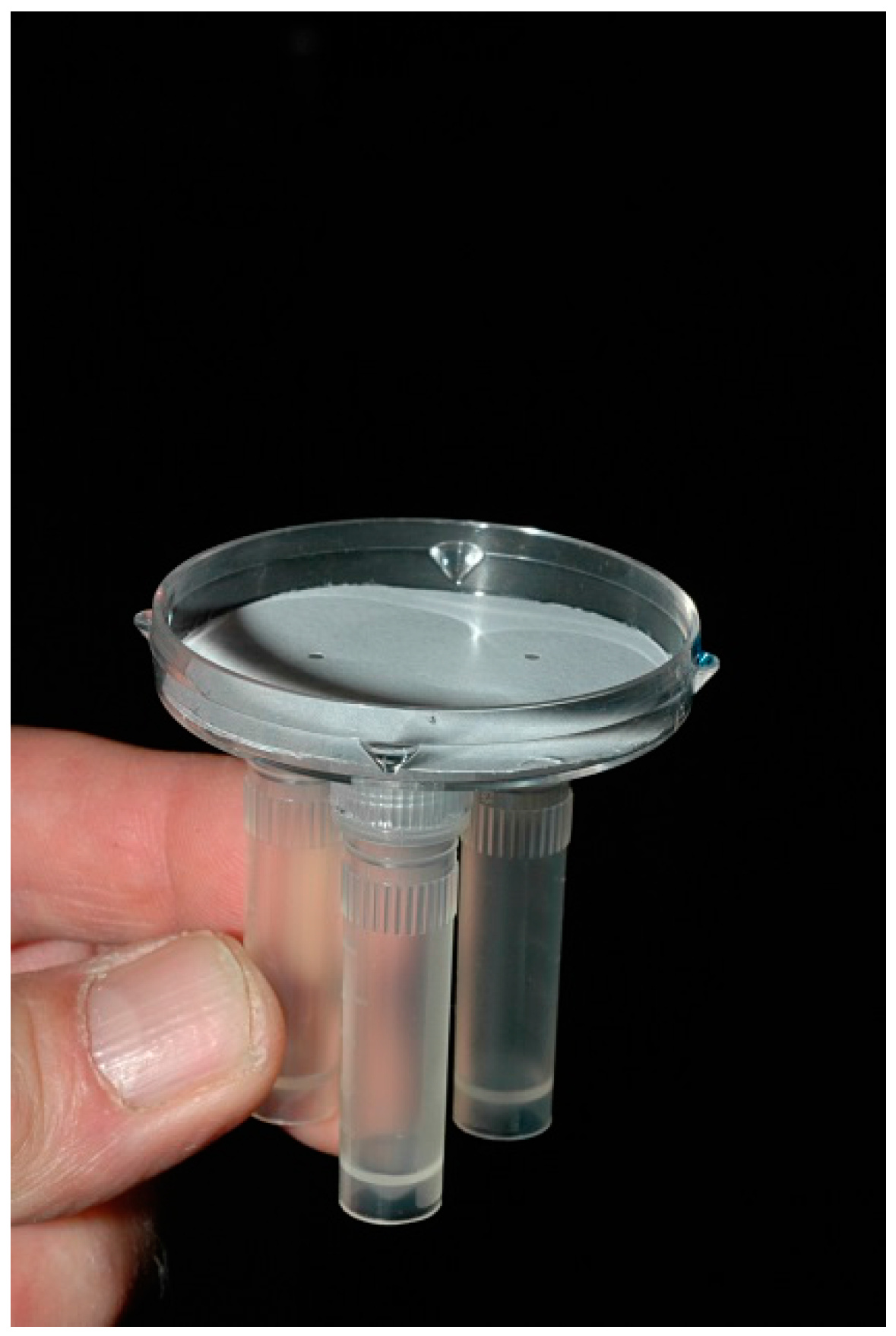 Insects 07 00059 g003