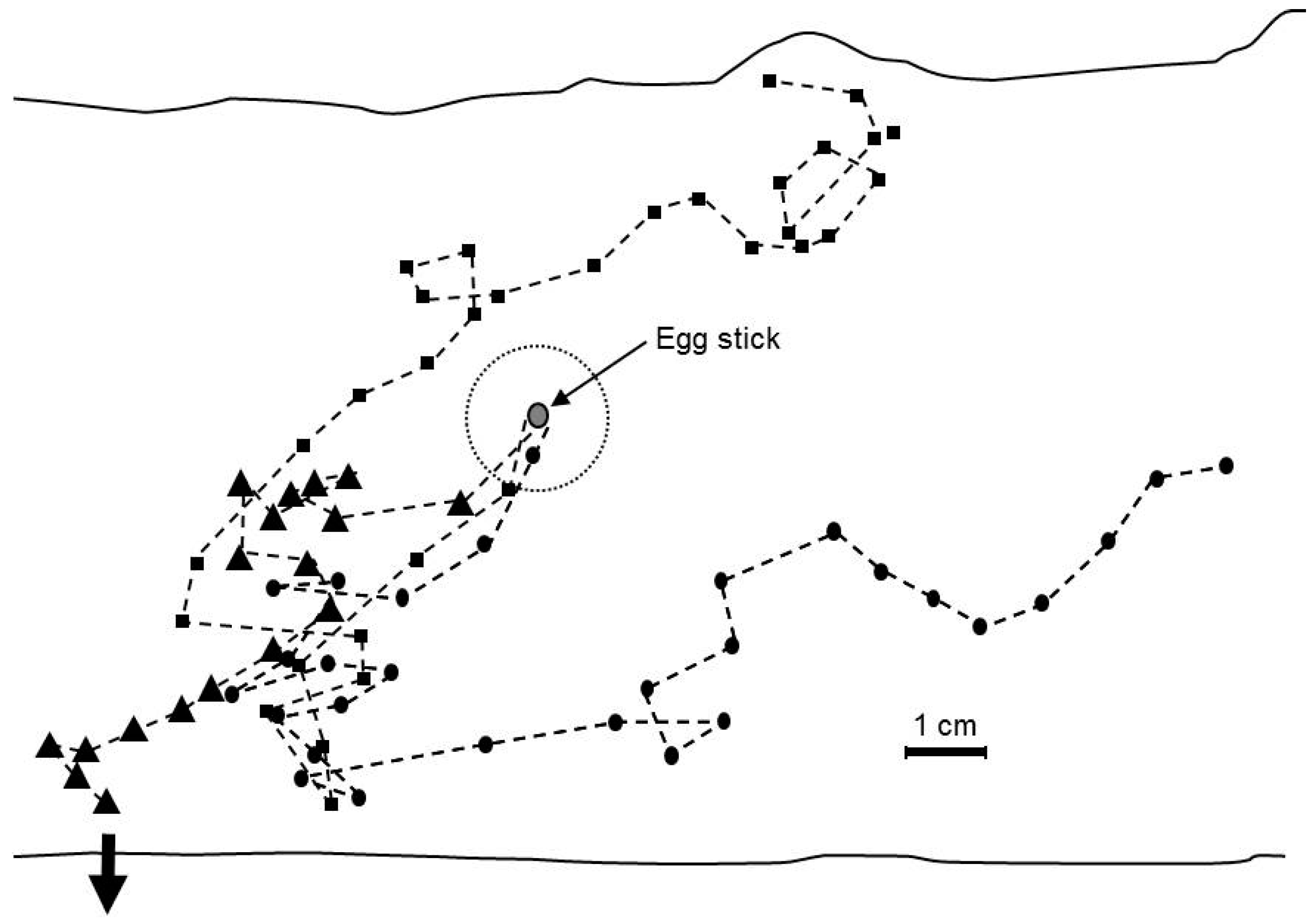 Insects 07 00059 g008
