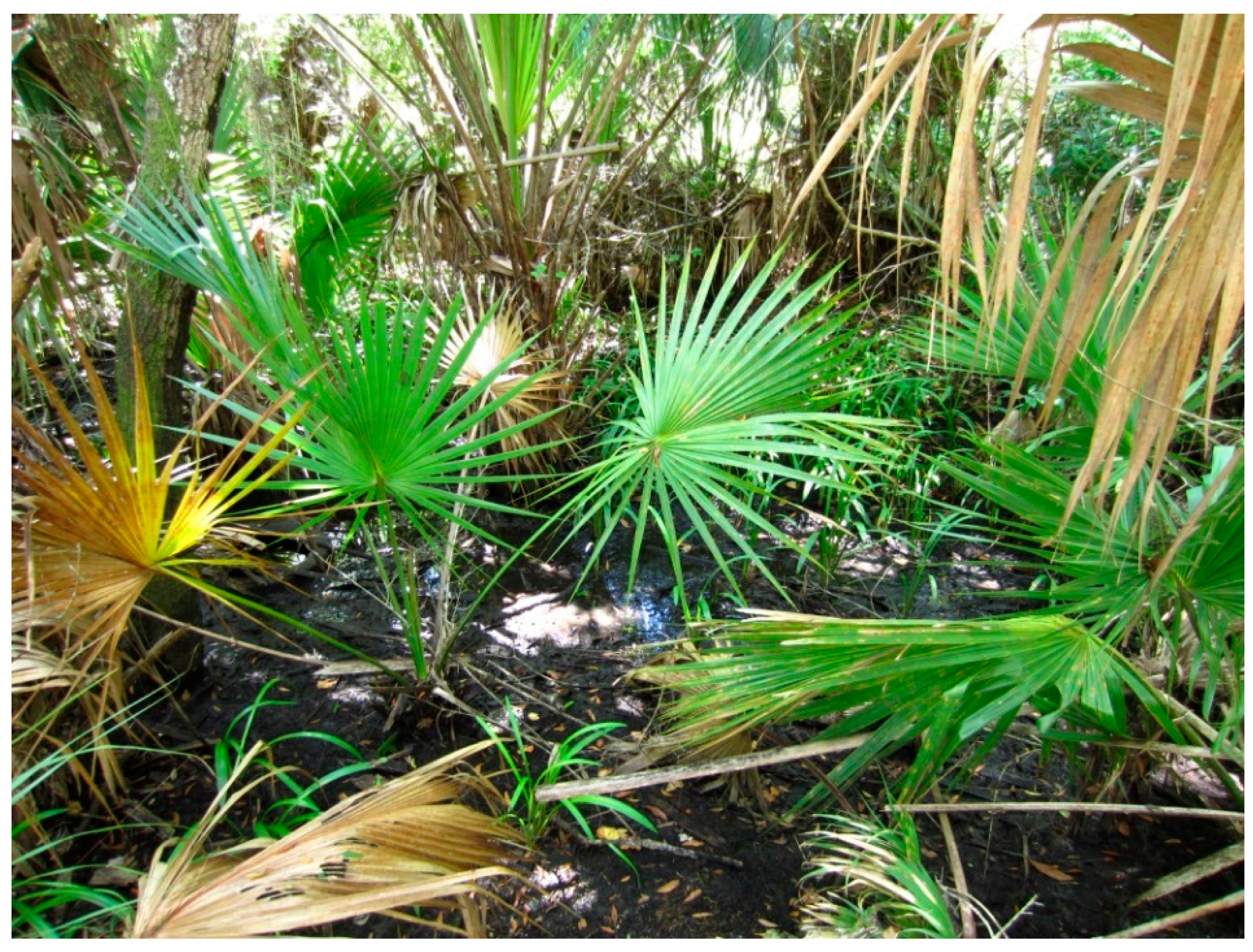 Insects 07 00065 g001