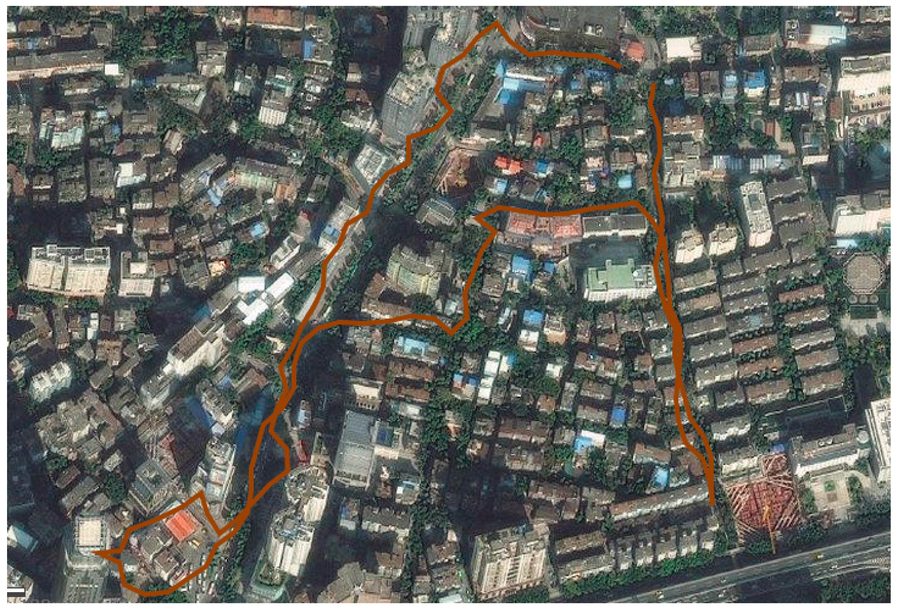 Insects 07 00079 g002