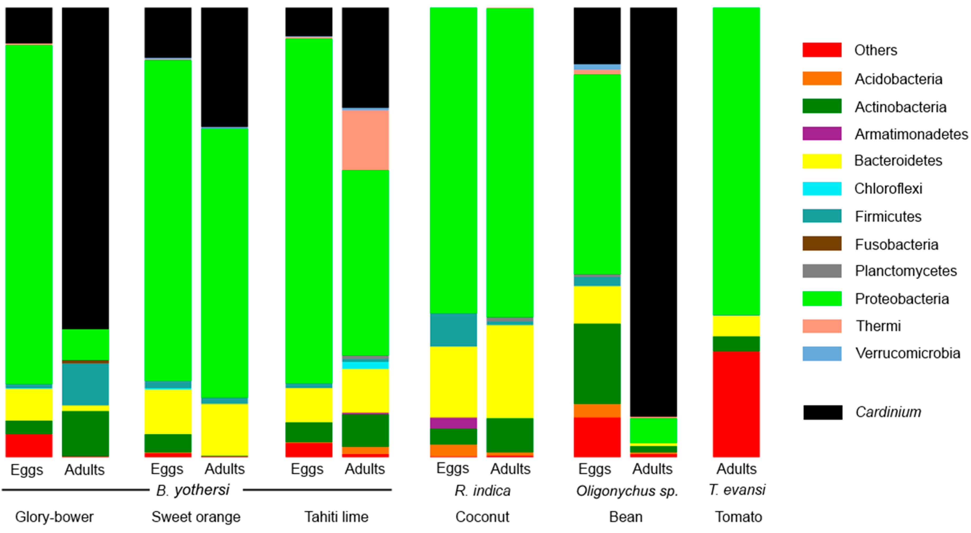 Insects 07 00080 g001