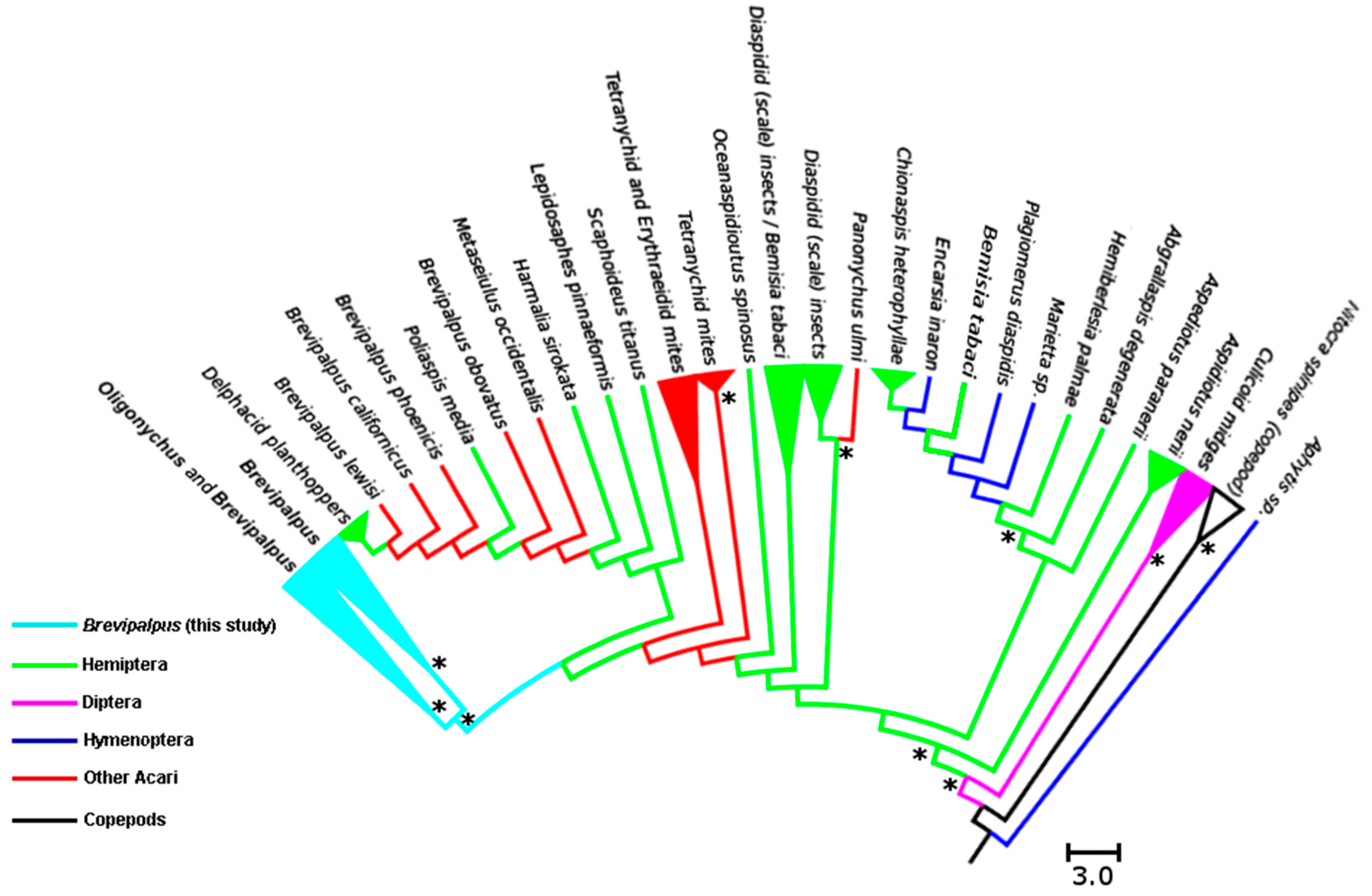 Insects 07 00080 g003