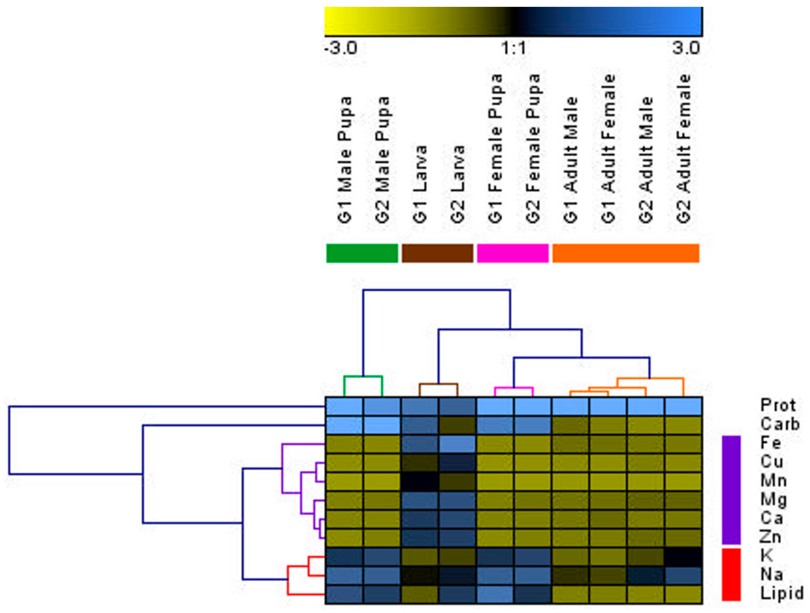 Insects 08 00003 g003