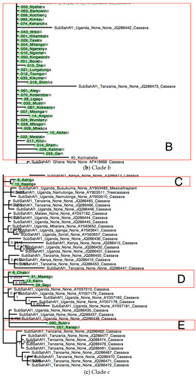 Insects 08 00025 g005b 550