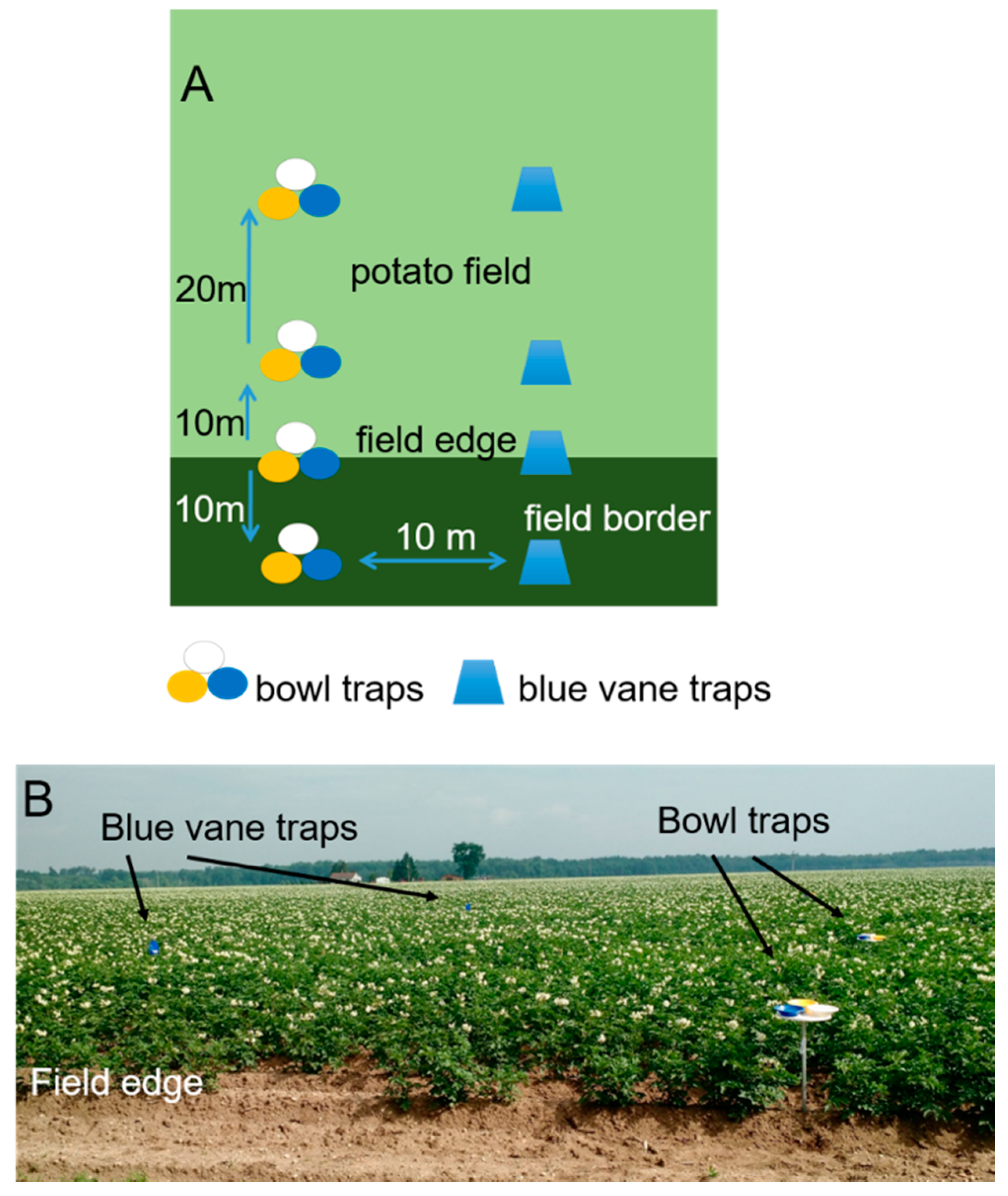 Insects 08 00030 g002