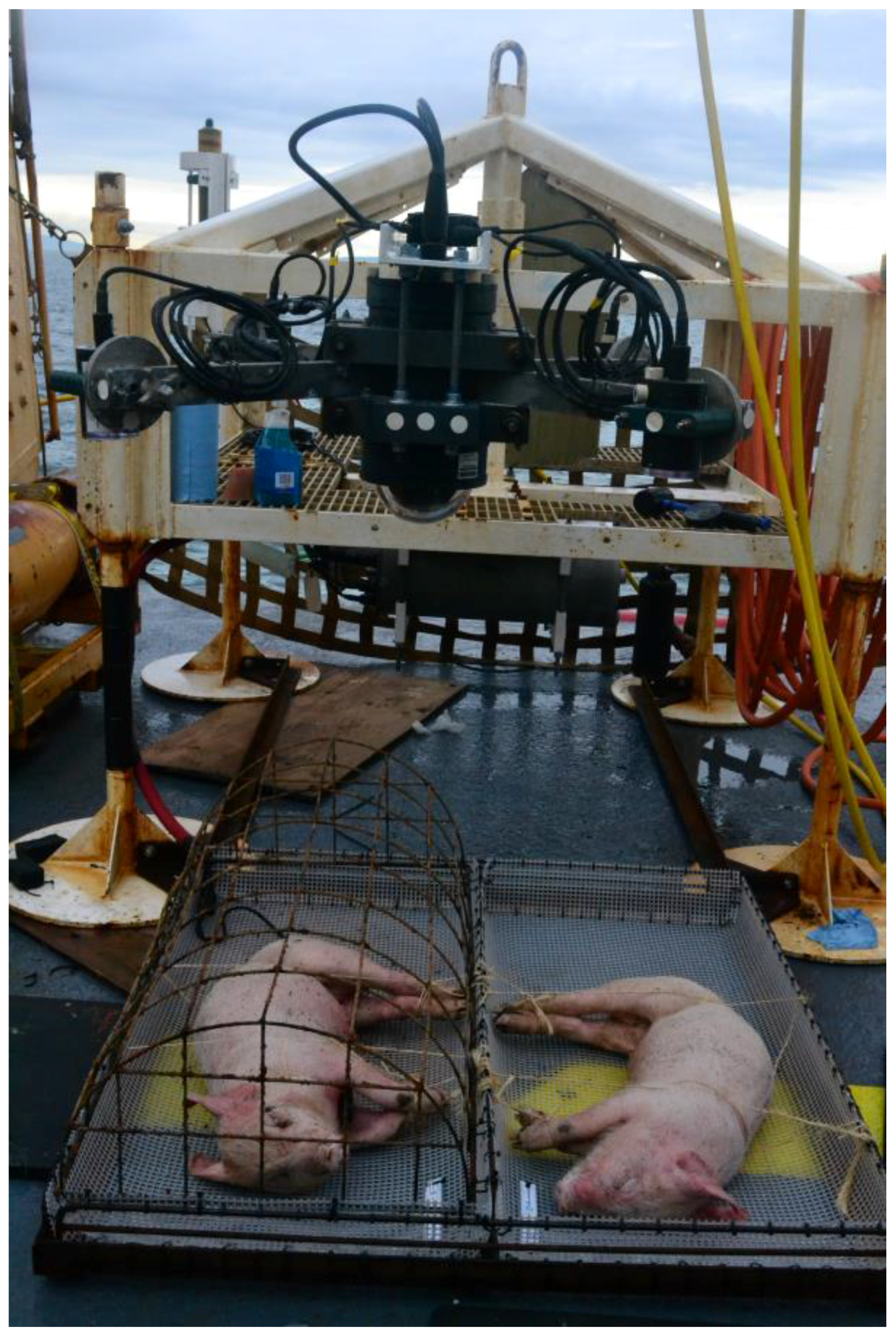 Insects 08 00033 g001